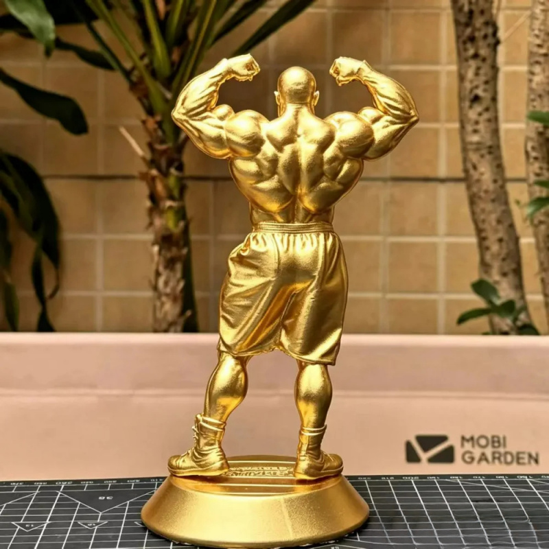 Decorazione a tema fitness Nil - 3D Printing Ptc recensione e prezzo