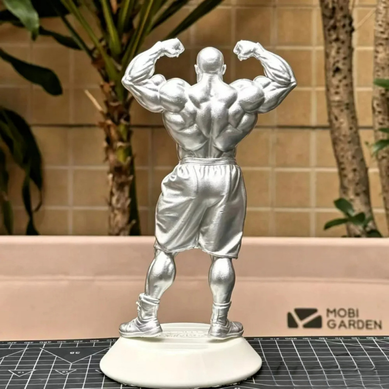 Decorazione a tema fitness Nil - 3D Printing Ptc recensione e prezzo