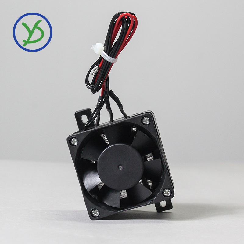 Riscaldatore PTC isolato 12V ~ - 3D Printing Ptc recensione e prezzo