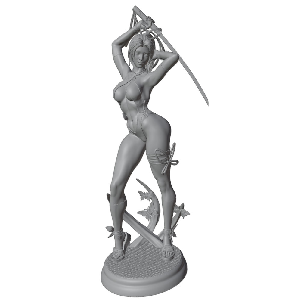 1/24 Femmina 	 Kit di modellin - 3D Printing For Dummies recensione e prezzo